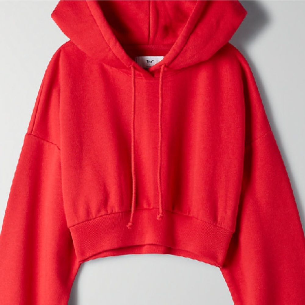 Aritzia Tna Super Crop Hoodie